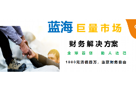 新蔡新蔡的要账公司在催收过程中的策略和技巧有哪些？