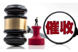 新蔡专业催债公司的市场需求和前景分析